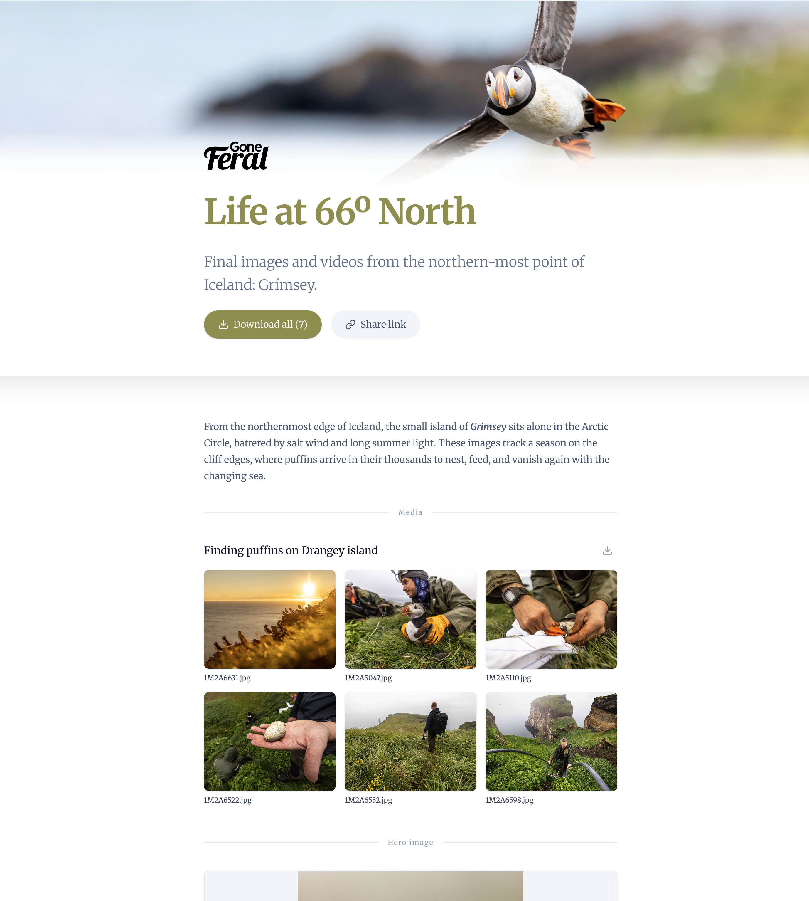 Life at 66° North branded visual campaign delivery page