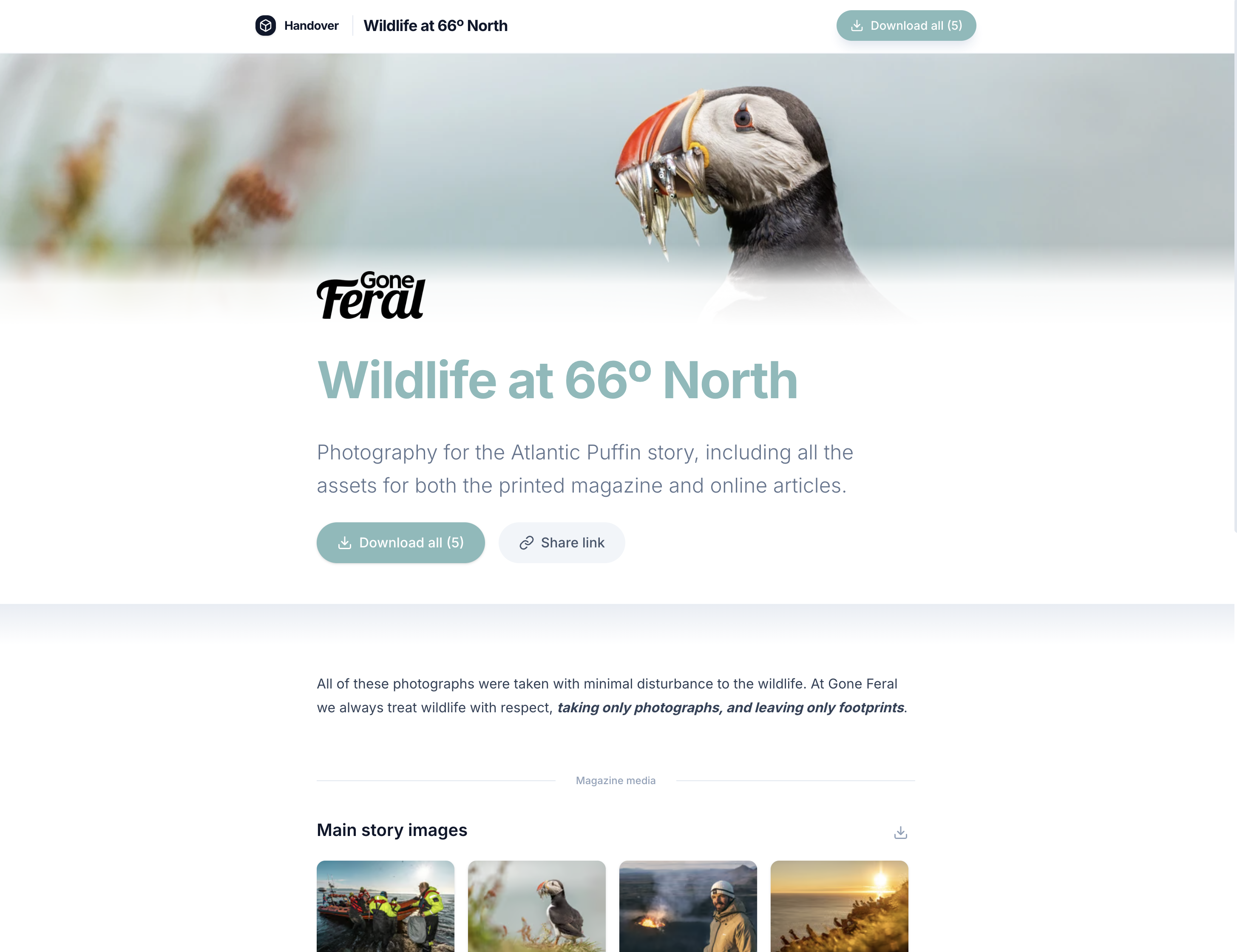 Wildlife at 66° North branded photography delivery page